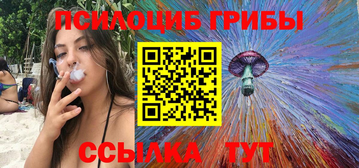Балашиха  Псилоцибиновые грибы ЛСД  Вход с VPN  Псилоцибиновые грибы мицелий 