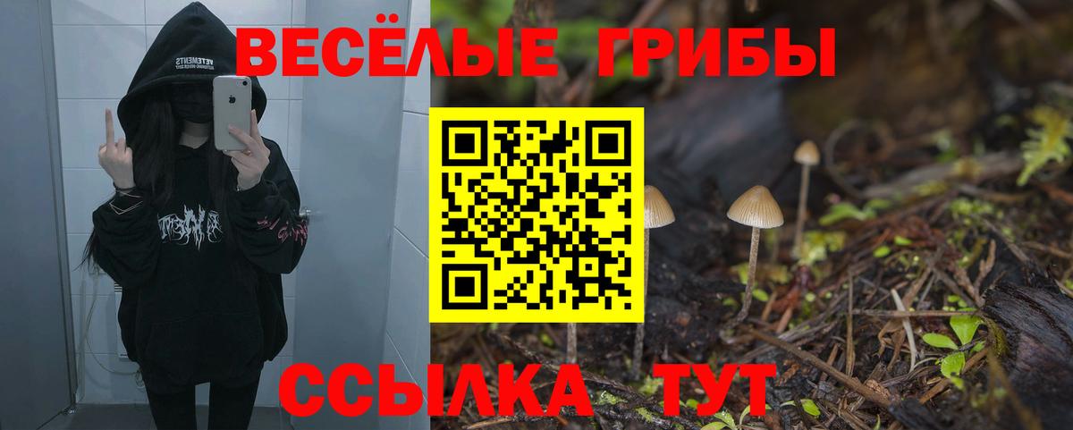 Псилоцибиновые грибы мухоморы Балашиха